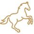 ser_1